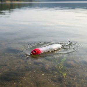 Isca Artificial Lucky By N Nakamura Zarinha Baby 80-8cm / 9g Cor 103